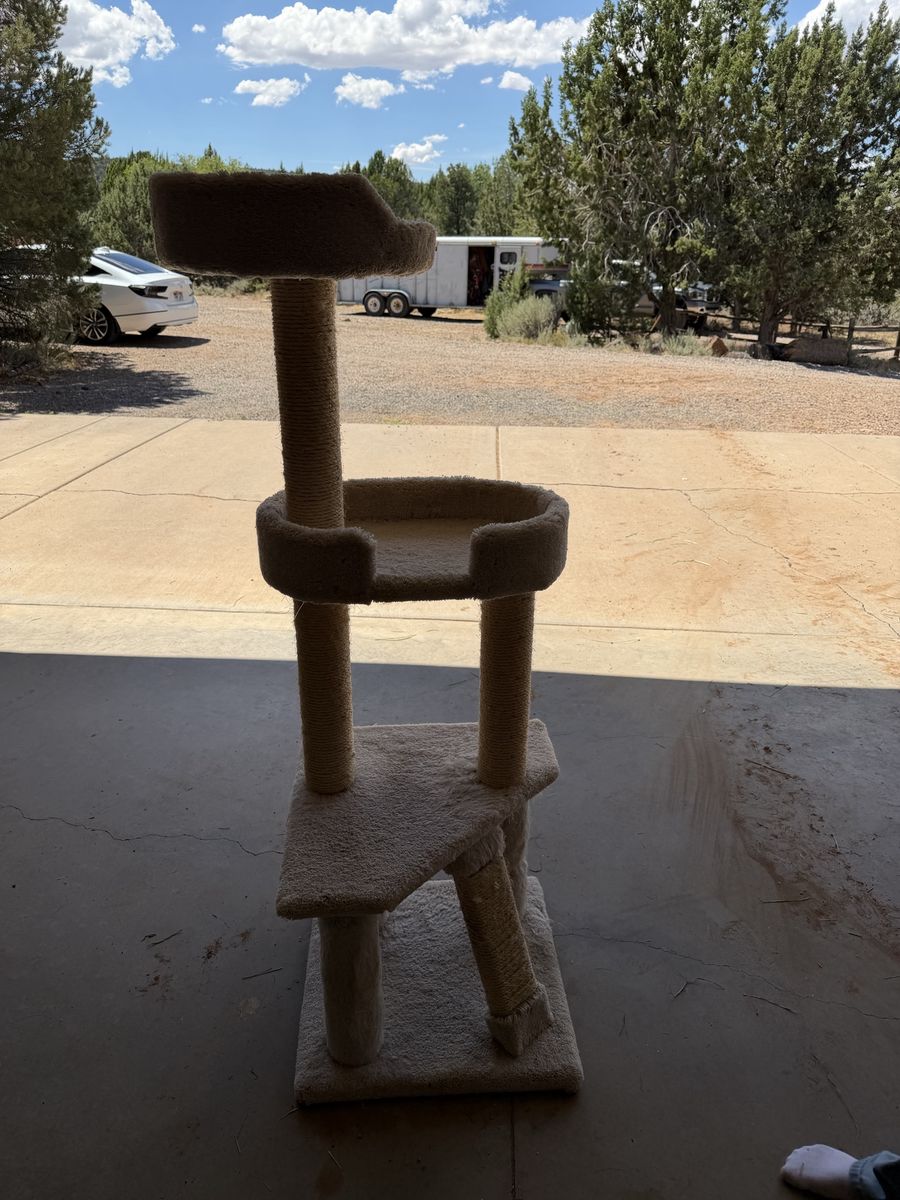Cheap cat trees