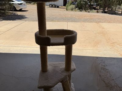 Cheap cat trees