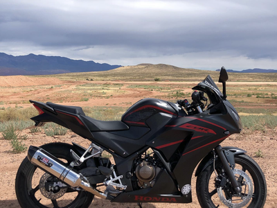 CBR300R Race Bike - ENGINE REBUILD