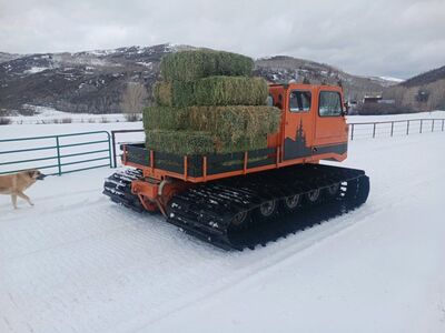 1972 Thiokol Spryte 1201WT Snowcat