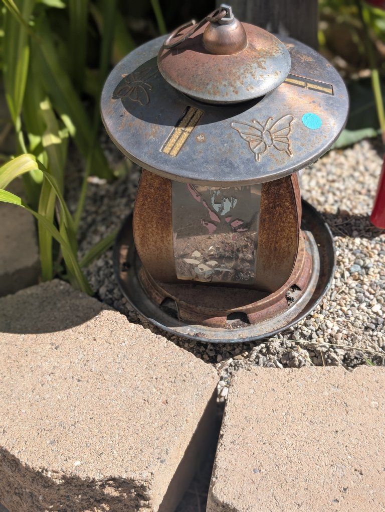 bird feeder