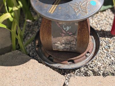 bird feeder