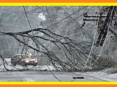 Are you looking for an emergency FUEL/HEAT source?