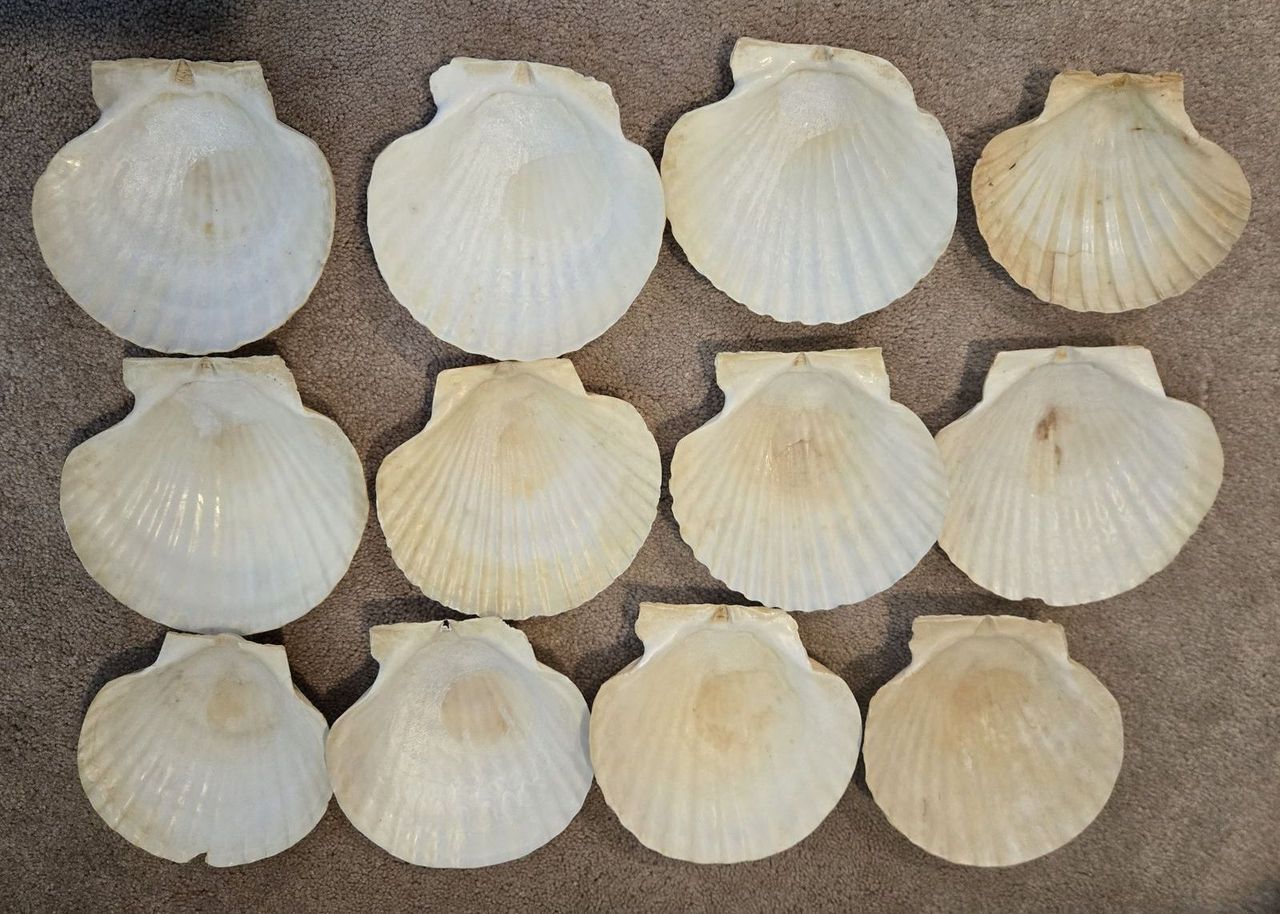 Main image 4