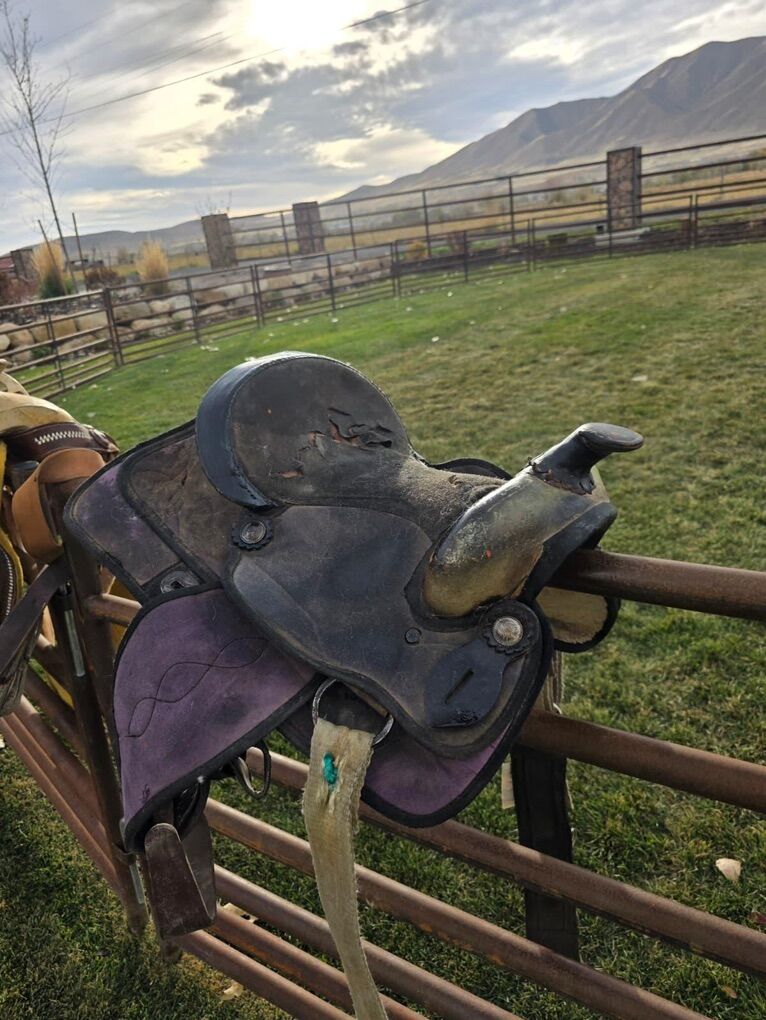 horse Saddle