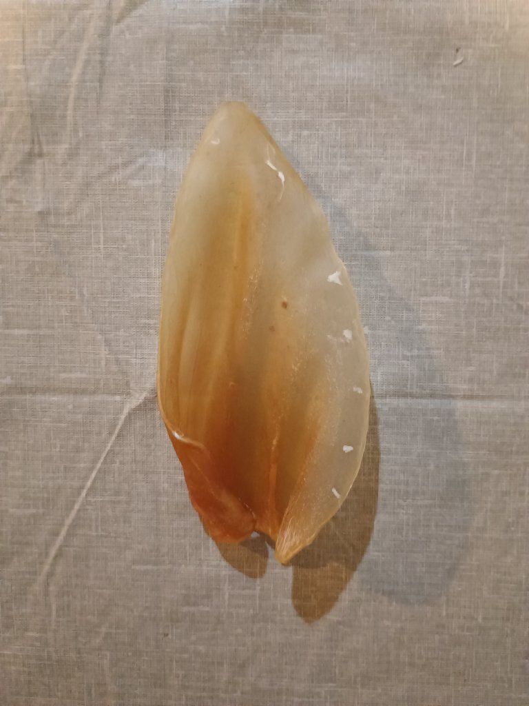 Main image 3