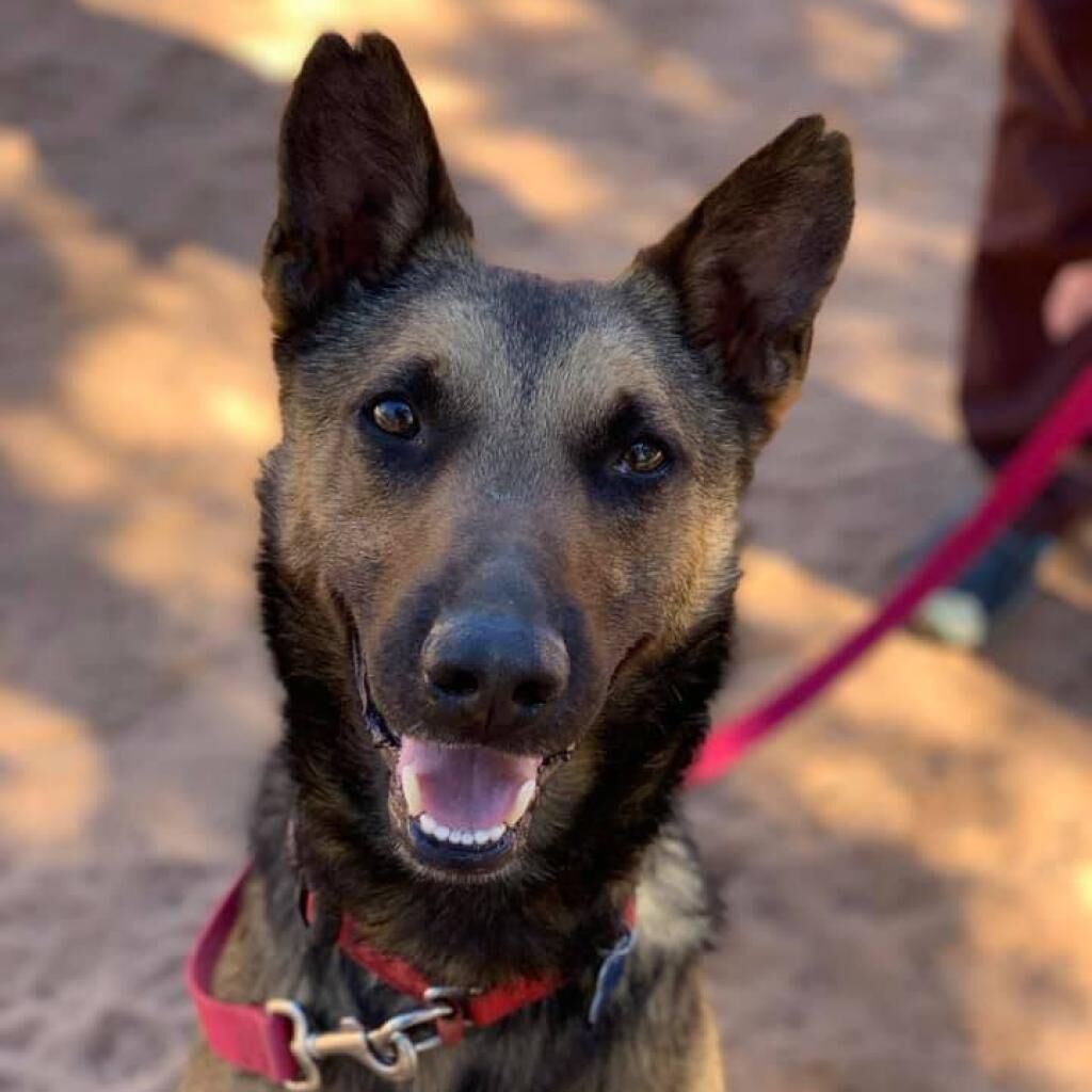 Hello my name is Soldier