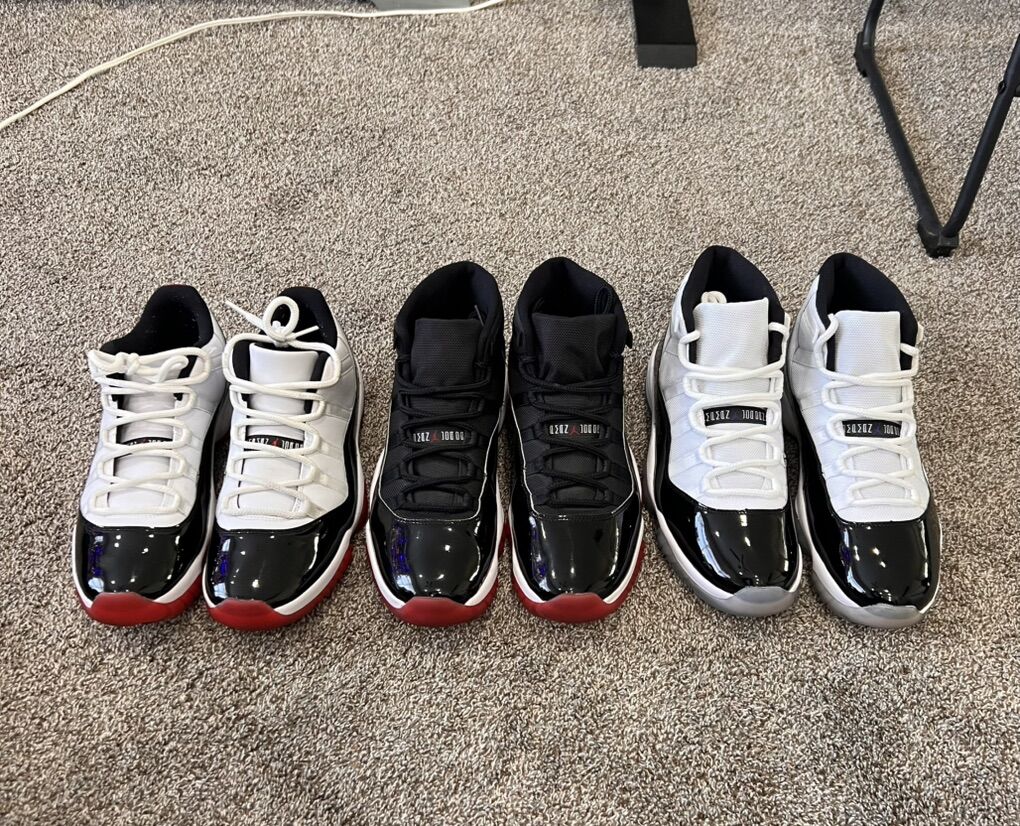 Jordan 11 Concord & Bred 11.5