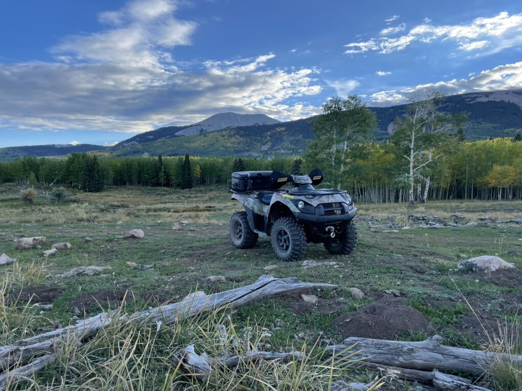 2020 Kawasaki Brute Force 750