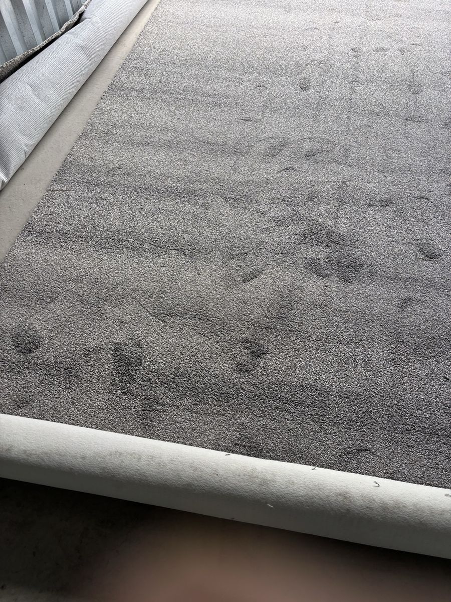 Carpet brand new