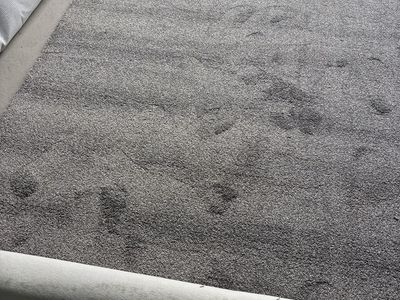 Carpet brand new