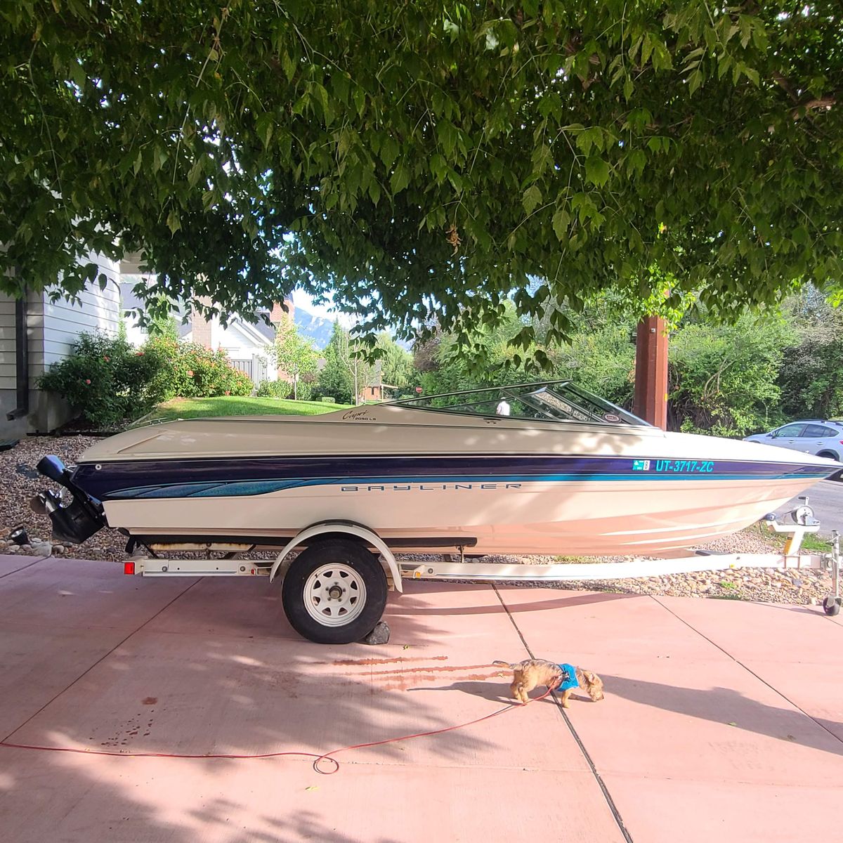 1995 Bayliner Capri 2050 LS