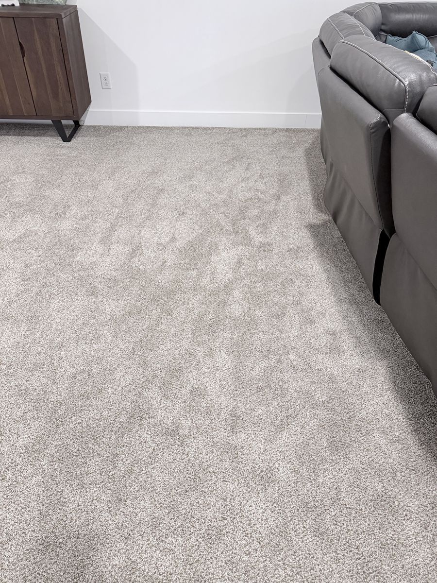Lightly Used Carpet: Light Gray Plush Residential Carpet
