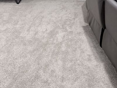 Lightly Used Carpet: Light Gray Plush Residential Carpet