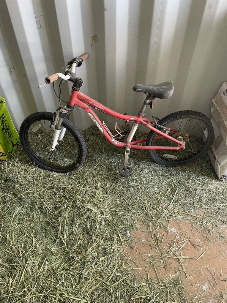 Bikes 6 Bikes Specialized, Cruiser