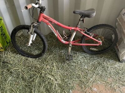 Bikes 6 Bikes Specialized, Cruiser