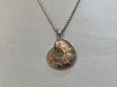 Silver Necklace Shell Pendant