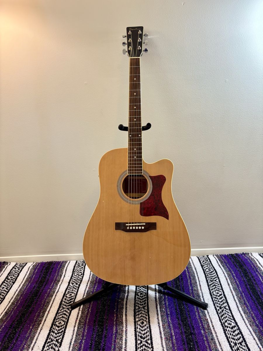 Spectrum Electric Acoustic Guitar