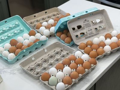 Fresh unwashed eggs for eating