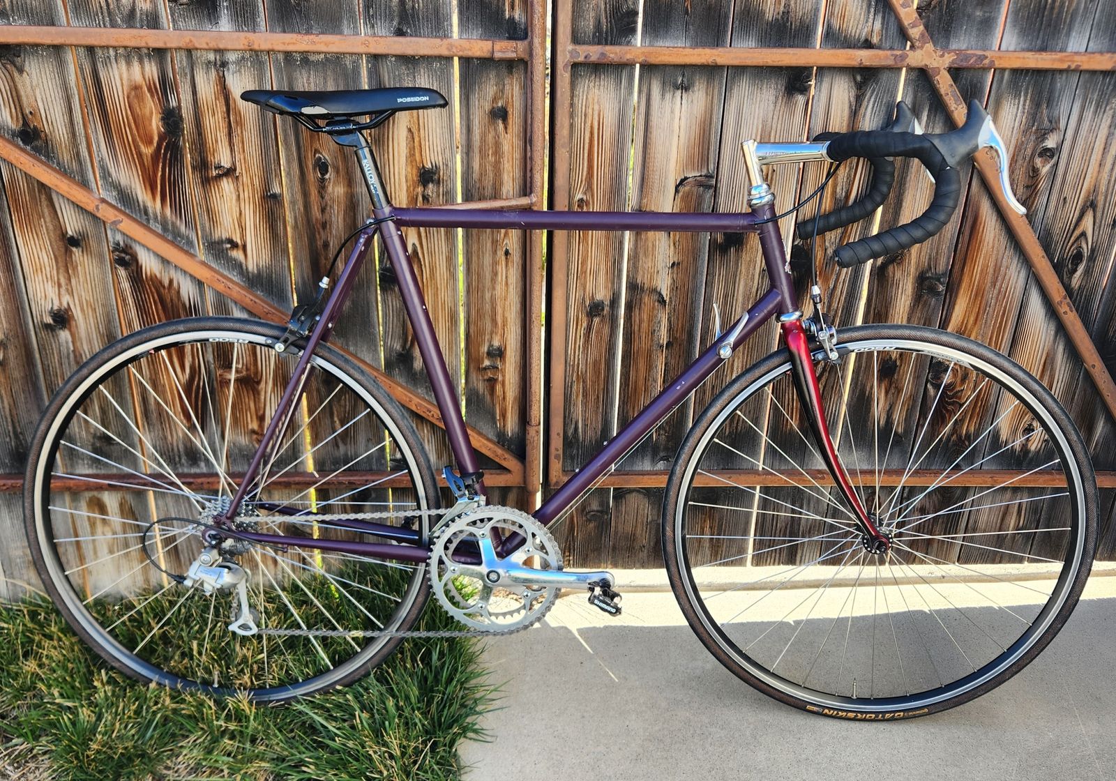 58cm Raleigh Technium