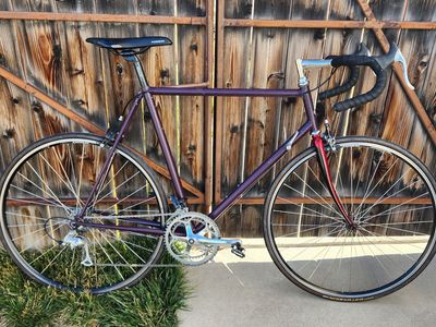 58cm Raleigh Technium