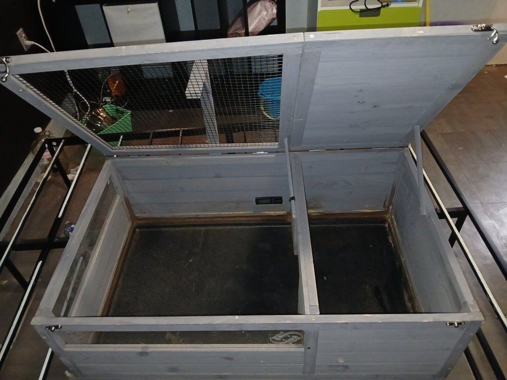 Main image 2