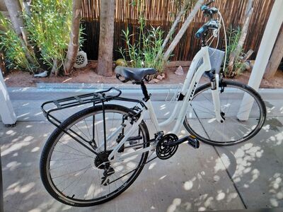 Bicycle Womens Trek