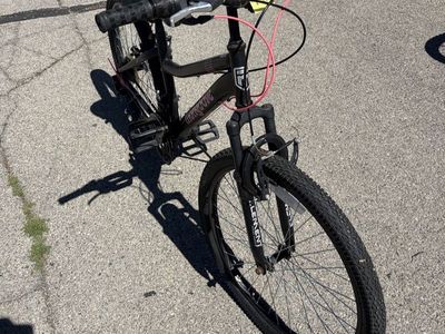 Mongoose Bike
