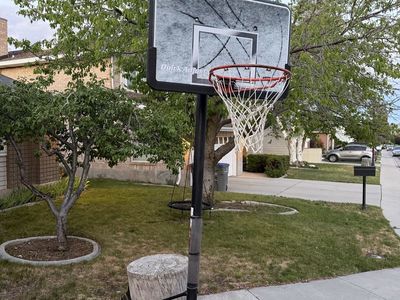 Lifetime Quick Adjust Portable Basketball Hoop