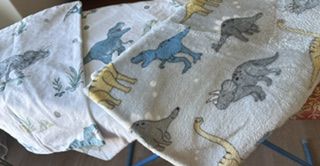 DINOSAUR BEDDING (DUVET COVER) AND DECOR
