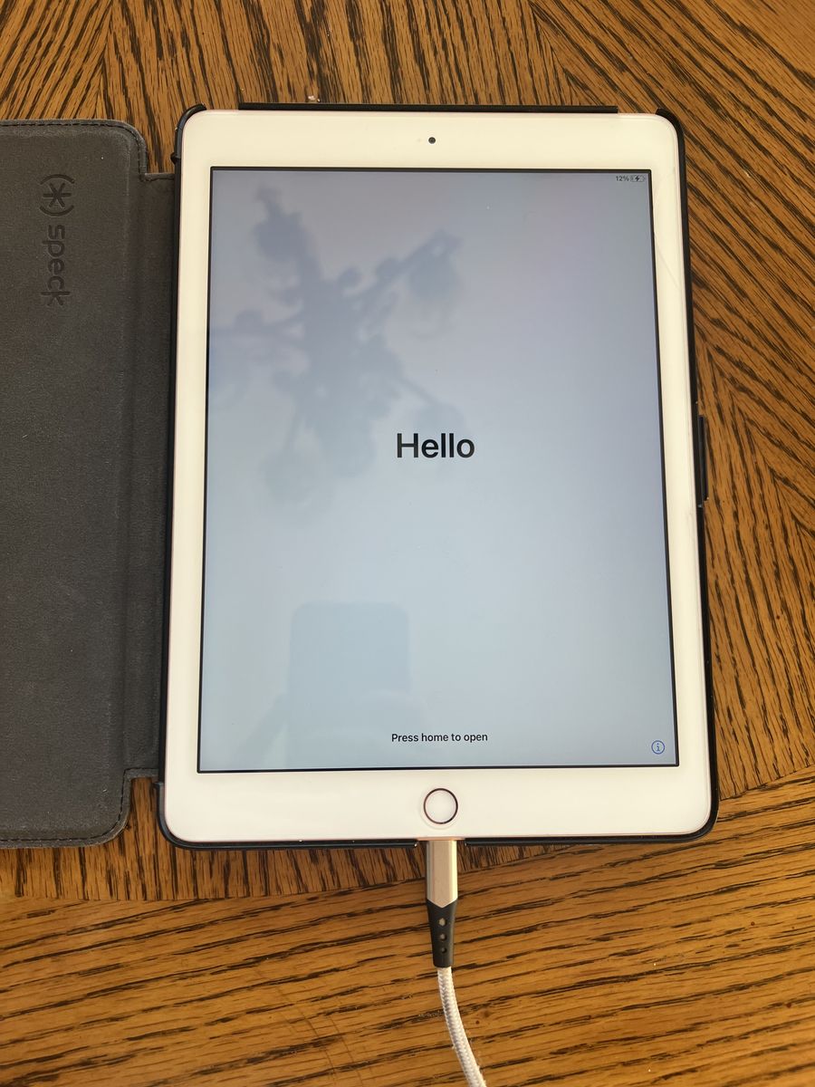 iPad 6th Gen (great condition) w/speck case & screen protector