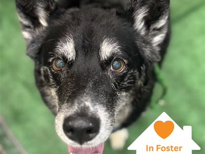 Hello my name is Tonita