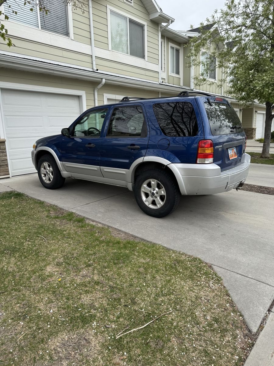 2007 Ford Escape XLT