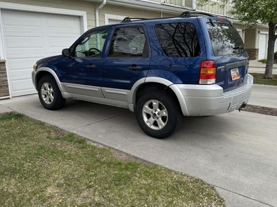 2007 Ford Escape XLT
