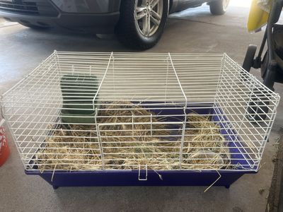 Pet Cage/Habitat - Ideal for Rabbit, Guinea Pig, or Small Animal- Used with Feeder