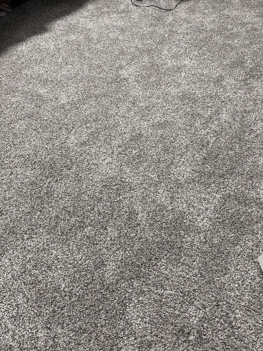 Playful Moments Pebble Path Gray Carpet