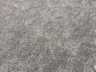 Playful Moments Pebble Path Gray Carpet
