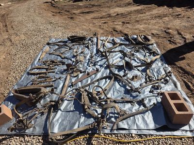 antique horse harness