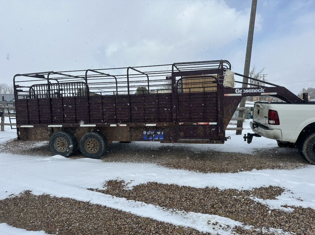 2005 Gooseneck 20' Stock Trailer