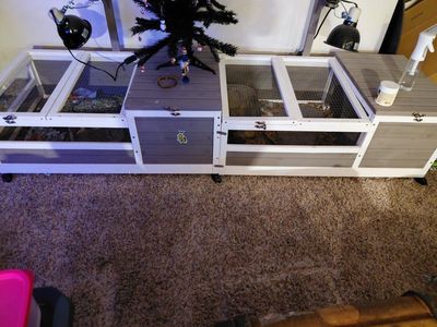 Large Wooden Tortoise Habitat / Reptile Enclosure with Dual Basking Lamps