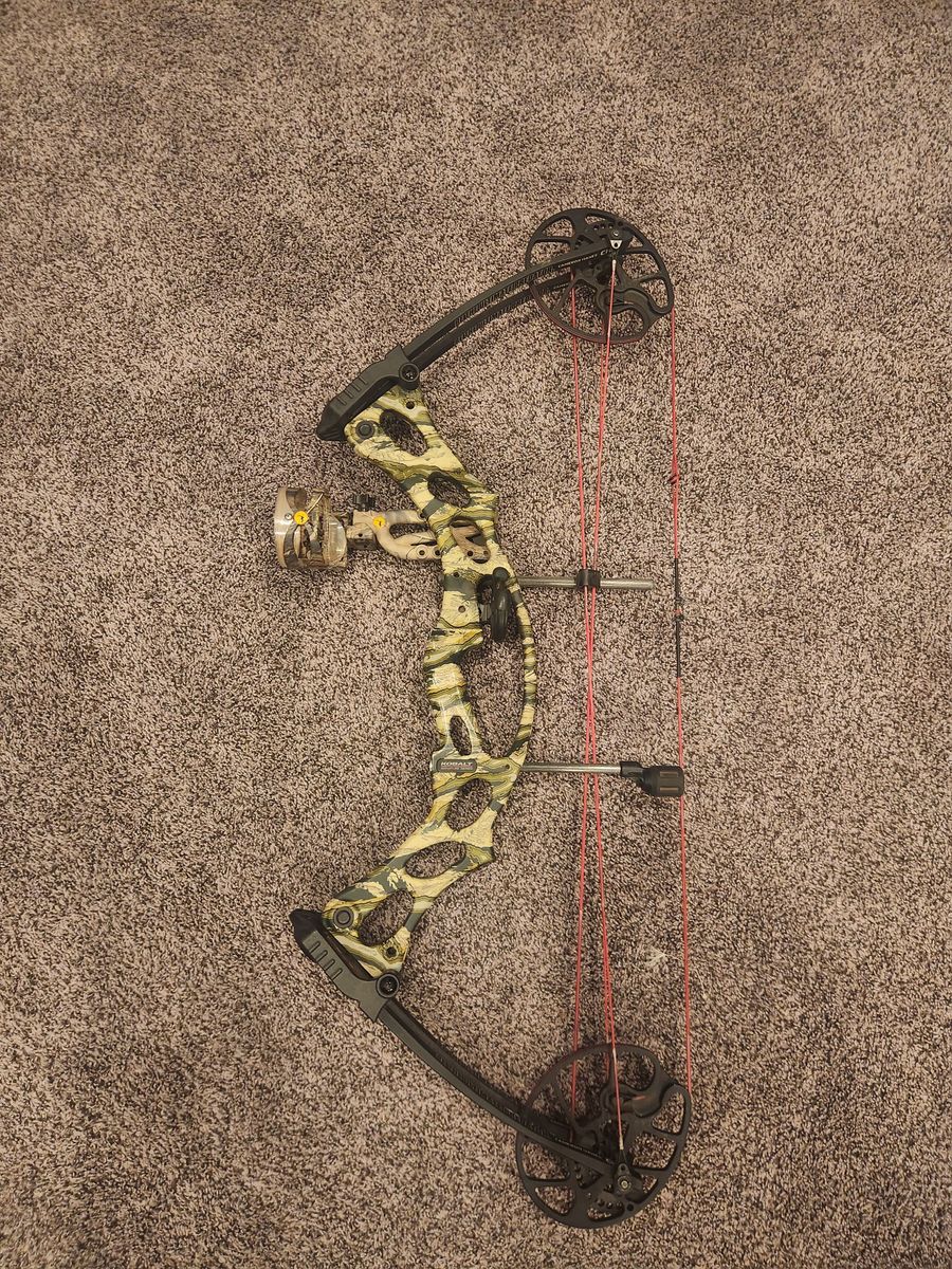 Hoyt Kobalt Cameron Hanes Bow
