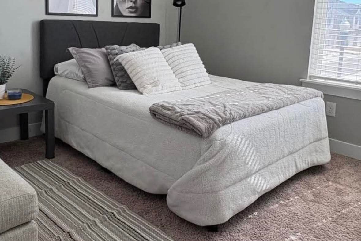 Quen Size Bed with Black Upholstered Headboard - Mattress and Box Spring Included