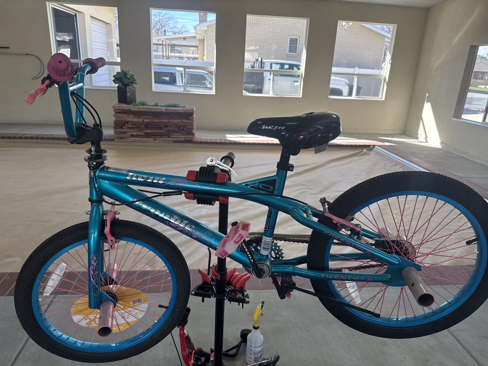 20 InchTrouble Girls Bike