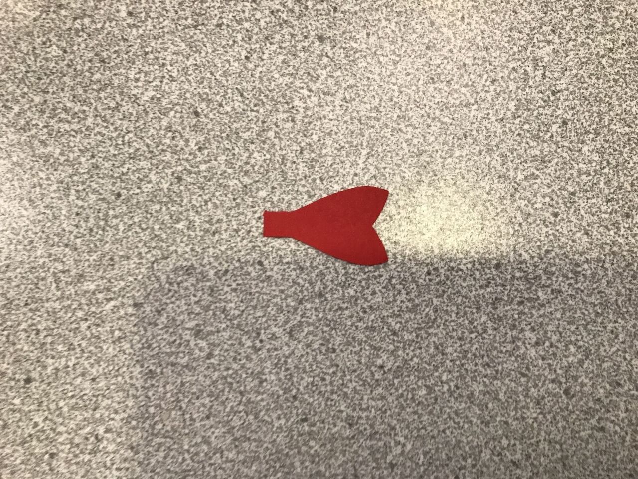 Main image 4