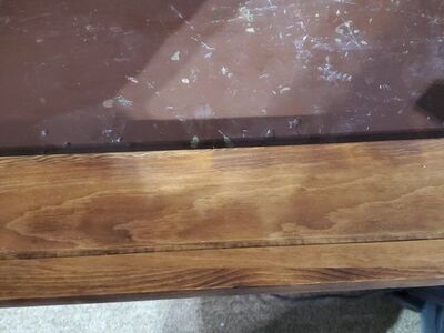 Coat Hanger w/ Shelf