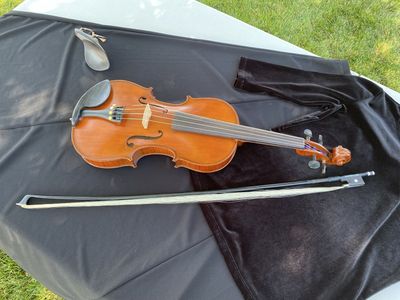 Viola 14 inch