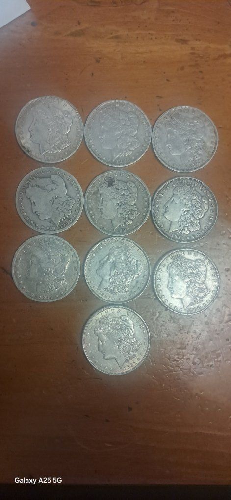 Morgan Silver Dollars