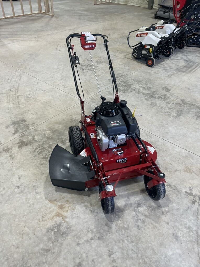 Ferris FW15