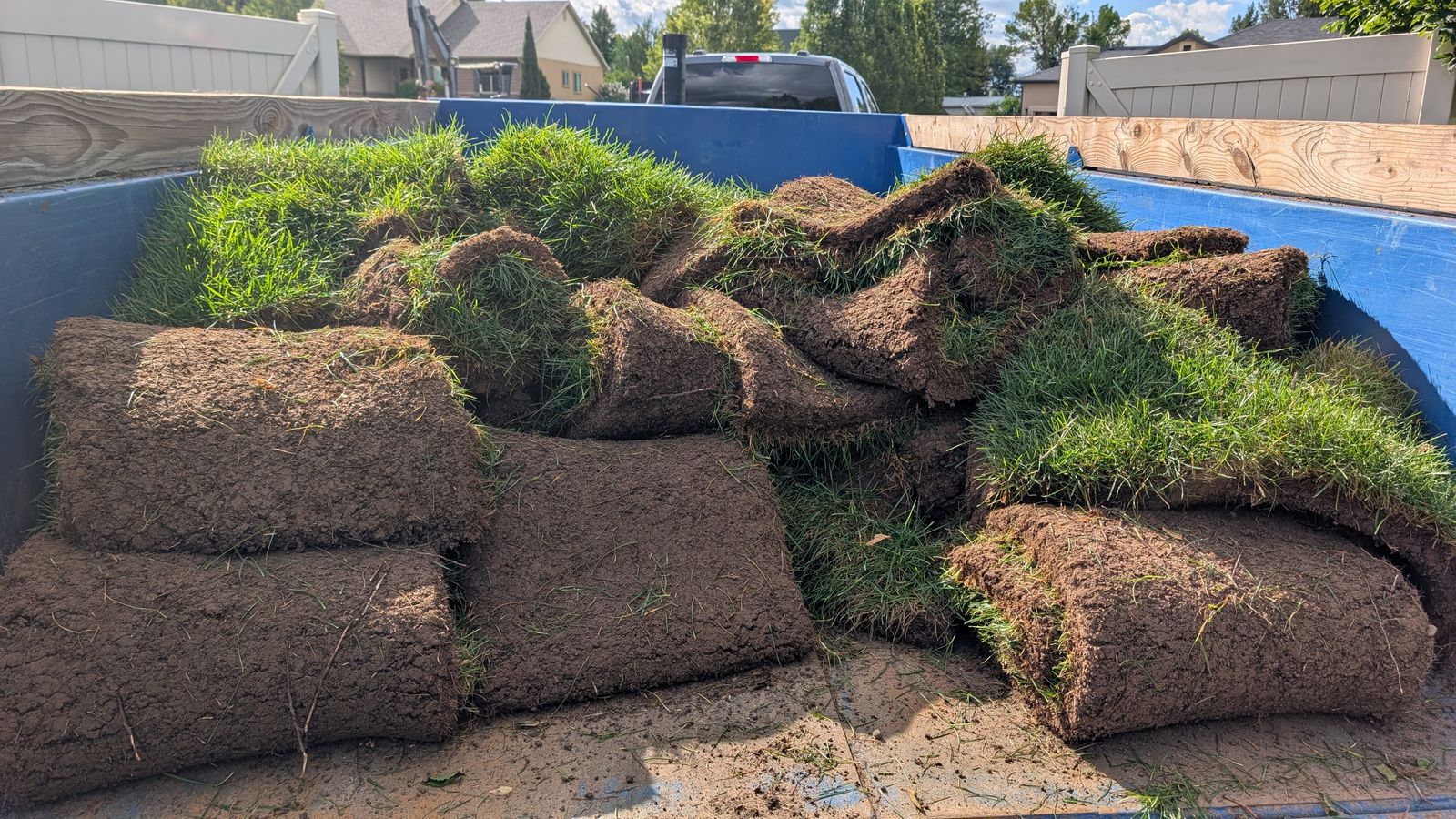 300 square feet of sod
