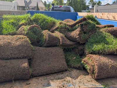300 square feet of sod